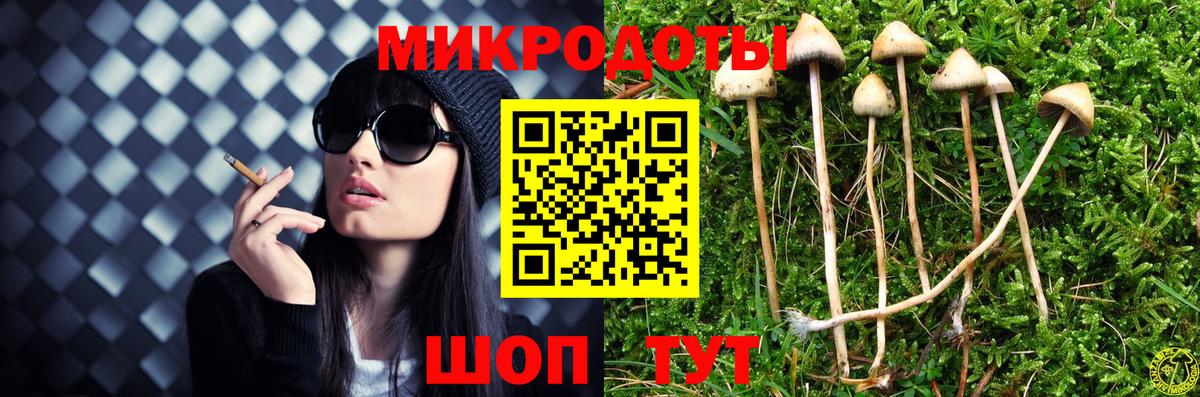 Унеча  купить наркотик  Вход с VPN  Псилоцибиновые грибы мицелий 